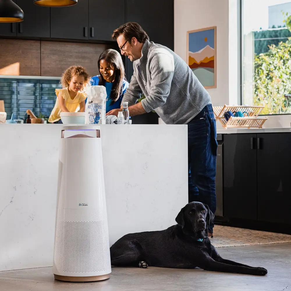 DH LIFELABS Aaira + HEPA 591040510 Smart Air Purifier