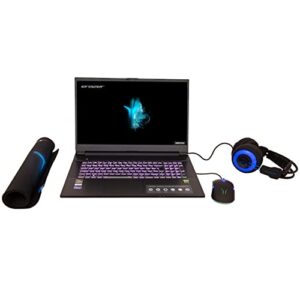 MEDION Erazer Defender P15 17.3" Gaming Laptop - Ryzen 7 RTX 3060 512 GB SSD