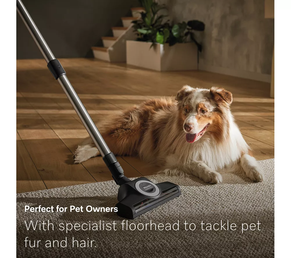 MIELE Guard M1 Cat & Dog Cylinder Bagged Vacuum Cleaner - Black