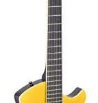 STAGG Silveray Nash Deluxe Electric Guitar - Black
