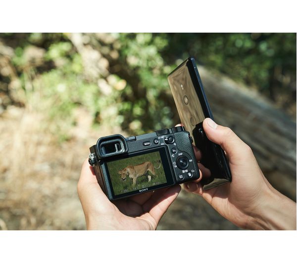 SONY a6600 Mirrorless Camera - Body Only