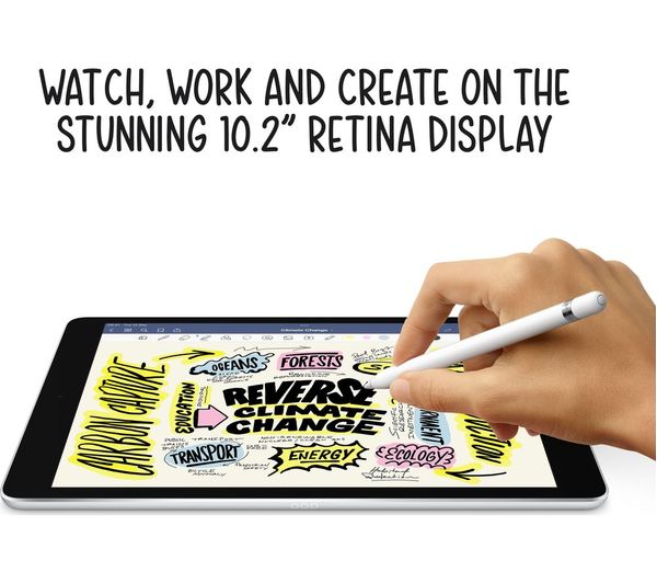 APPLE 10.2" iPad Cellular (2021) - 256 GB Silver