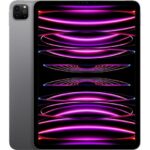 APPLE 11" iPad Pro Cellular (2022) - 512 GB  Space Grey